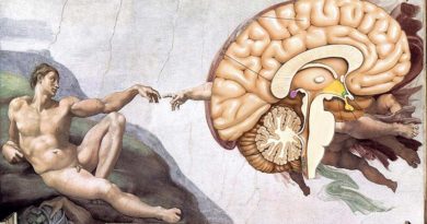 Somos programados para ter fé e ela faz bem à saúde