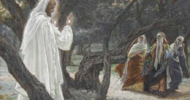 As aparições de Jesus após sua morte não poderiam ter sido alucinações?
