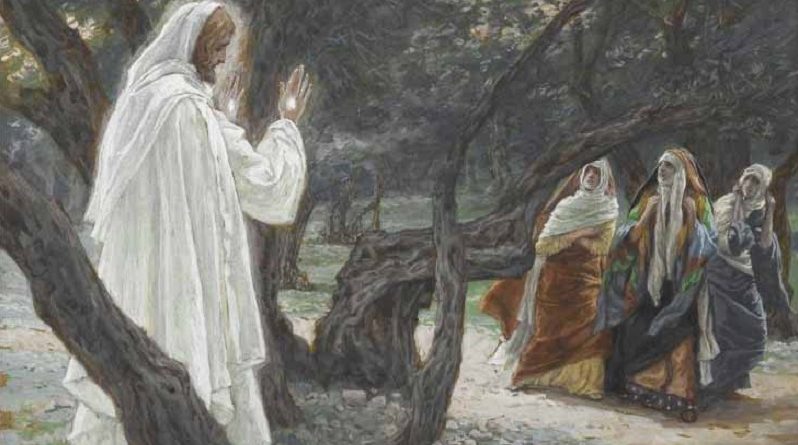 As aparições de Jesus após sua morte não poderiam ter sido alucinações?