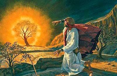 d14d74_e53dd730e8eeb55a2279fe5a8127ee7f