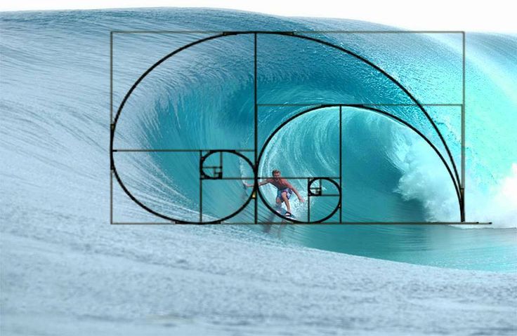Fibonacci nas ondas do mar