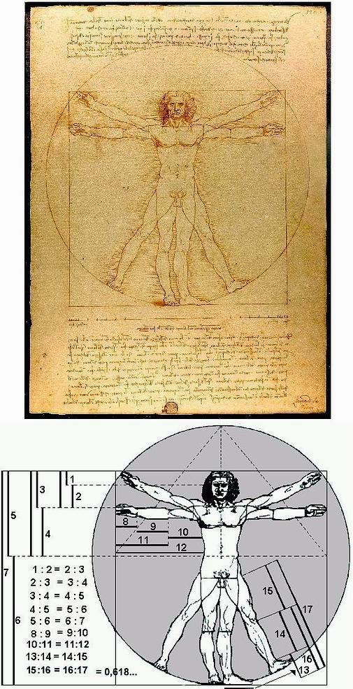 Homem Vitruviano de Marco Vitruvio Polião, reconstituído e aperfeiçoado por Leonardo da Vinc em torno de 1490 - descreve as proporções do corpo humano masculino