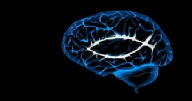 Dos 10 mais altos QIs na Terra, 8 são teístas e dentre esses, 6 cristãos