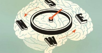 O GPS natural do Cérebro