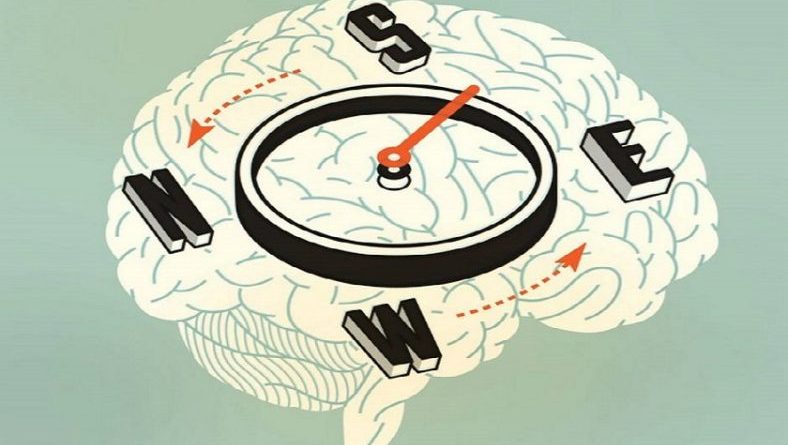 O GPS natural do Cérebro