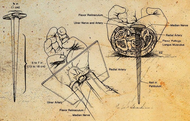 crucificação-de-Jesus-na-visão-de-um-médico-estudo