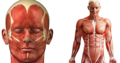 25 fatos impressionantes sobre o corpo humano