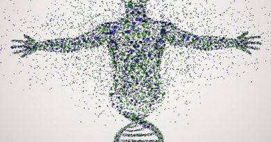 Qual a origem do código genético? Os “10 mandamentos” do código da vida!