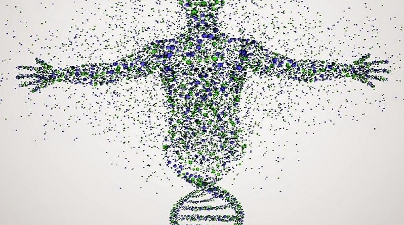 Qual a origem do código genético? Os “10 mandamentos” do código da vida!