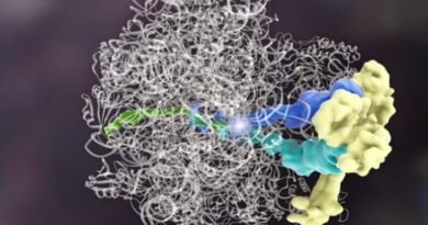 Descoberta primeira proteína que pode corrigir outras proteínas