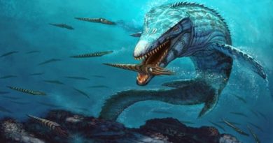 Fóssil de réptil pré-histórico com restos de tecidos macios é achado na Colômbia