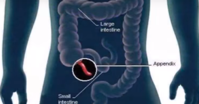 O Apêndice é um órgão vestigial?