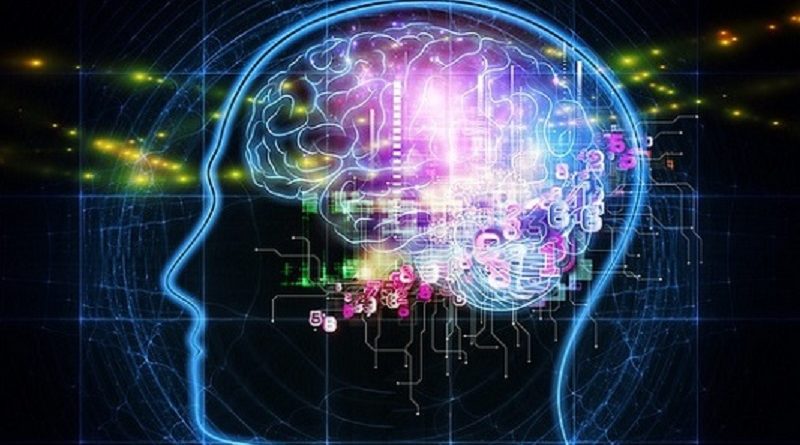 Neurociência não materialista: Evidências de uma consciência além do cérebro