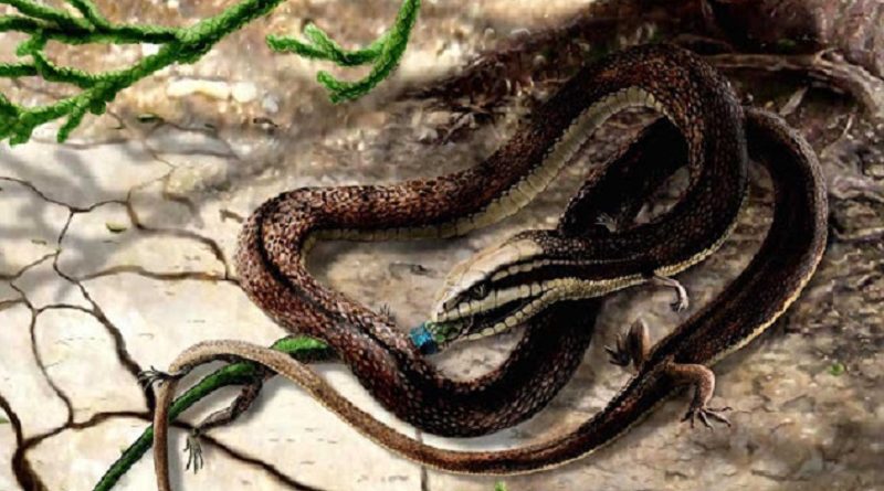 A serpente do Éden tinha patas - confirmado pela ciência?