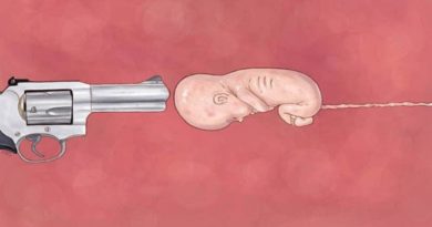 Grito Silencioso de quem ainda não nasceu - liberação do aborto no Brasil