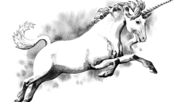 A Bíblia fala de Unicórnios?