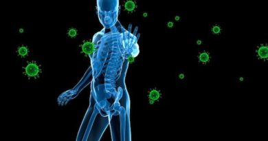 Sistema Imunológico: acaso ou Design Inteligente?