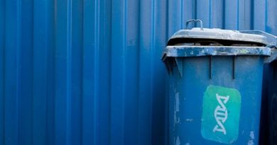 Aquilo que o Evolucionismo considera como DNA Lixo, é na verdade o software controlador de todo sistema dos organismos complexos