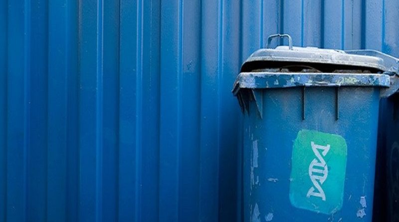 Aquilo que o Evolucionismo considera como DNA Lixo, é na verdade o software controlador de todo sistema dos organismos complexos