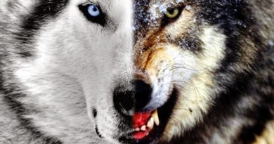Parábolas: A luta dos dois lobos dentro de mim