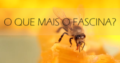 O que mais o fascina?