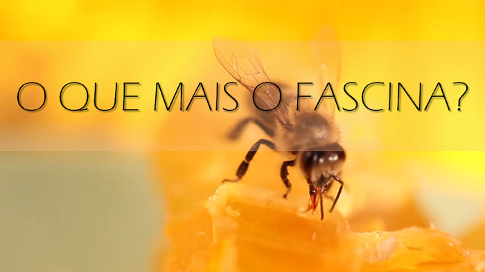 O que mais o fascina?