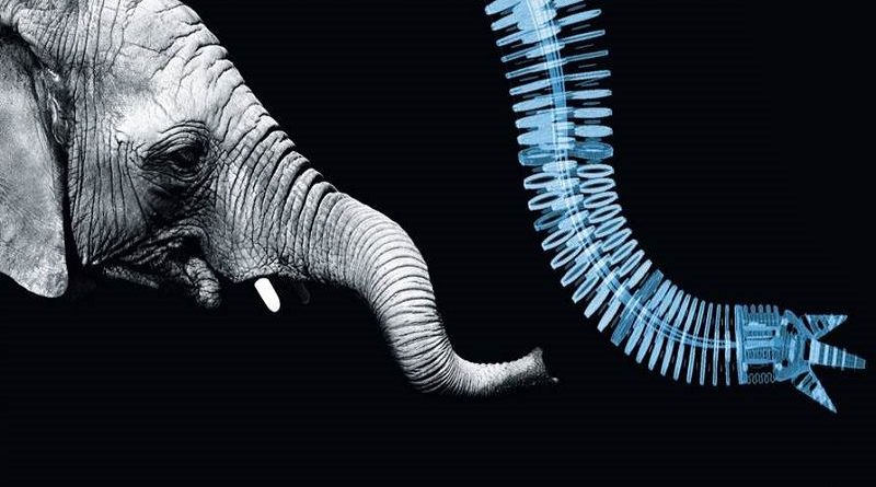 Biomimética a ciência inspirada no design inteligente da natureza