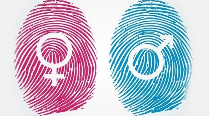 Ideologia de Gênero causa efeitos nocivos na saúde física e mental de crianças e adolescentes, conforme nota do Colegiado Americano de Pediatria