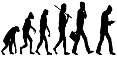 Evidências de que a evolução é falsa