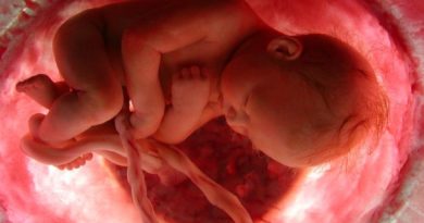 A primeira respiração do bebê é irredutivelmente complexa