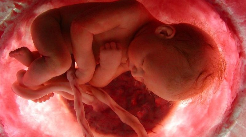 A primeira respiração do bebê é irredutivelmente complexa