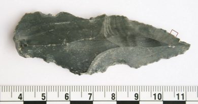 Resíduos de Proteínas Encontrados em Ferramentas de Pedra de Hominídeos