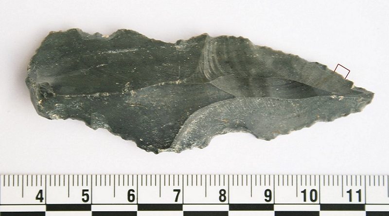 Resíduos de Proteínas Encontrados em Ferramentas de Pedra de Hominídeos