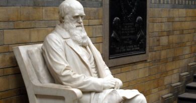 Estátua de Charles Darwin, pai da teoria da evolução