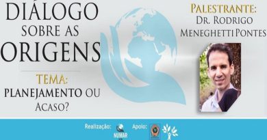 planejamento ou acaso?