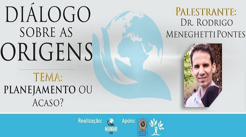 planejamento ou acaso?