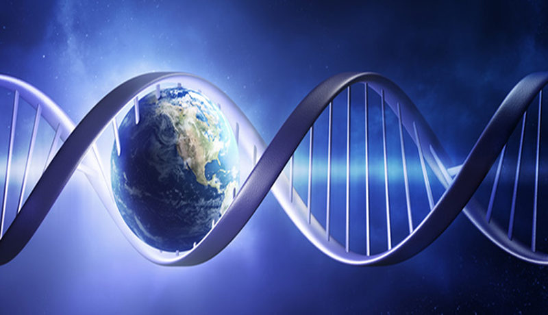 Origens: Episódio 09 – Projetada para a vida (parte 1)