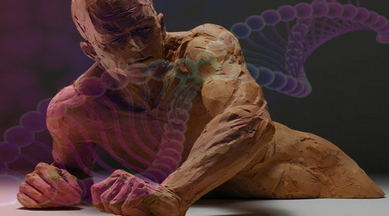 Adão cromossomial-Y