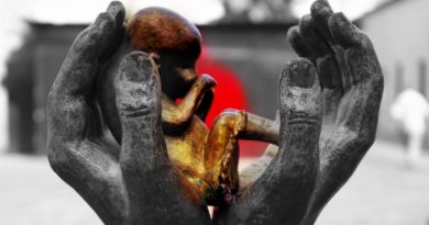 Nota de Repúdio a Decisão do STF que abre precedente para descriminalizar o aborto até terceiro mês