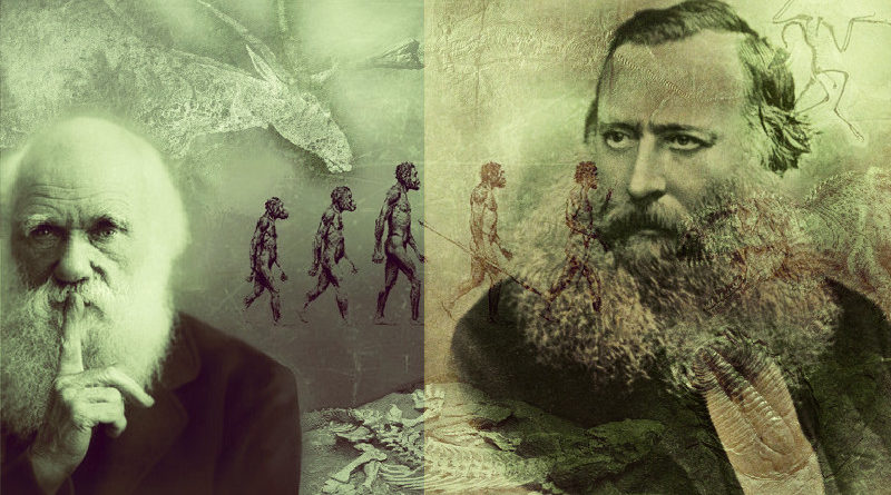 Criacionista sugeriu a seleção natural antes de Darwin