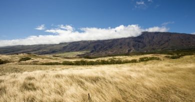 Pessoas simples e gestos simples podem gerar resultados extraordinários