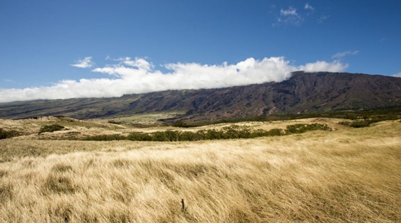 Pessoas simples e gestos simples podem gerar resultados extraordinários