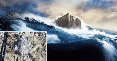 Atualização sobre o período limite dilúvio pós-dilúvio