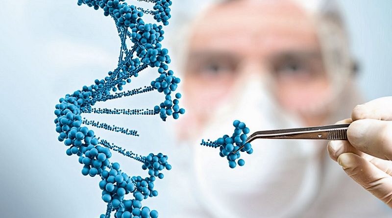 Imprinting genético até o embrião sabe o papel diferente de pai e mãe