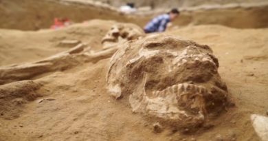 Pesquisa em DNA corrobora relato bíblico sobre a origem dos filisteus em Israel