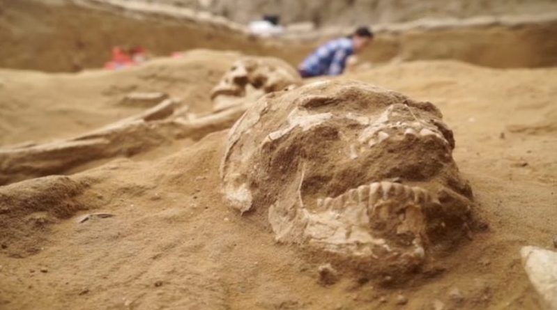 Pesquisa em DNA corrobora relato bíblico sobre a origem dos filisteus em Israel