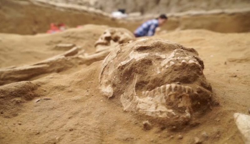 Pesquisa genética confirma relato bíblico sobre a origem dos filisteus, os arqui-inimigos de Israel